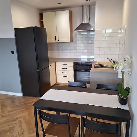 Modern 2-room Near Tauron Arena & Expo, Ac, Free Parking 克拉科夫